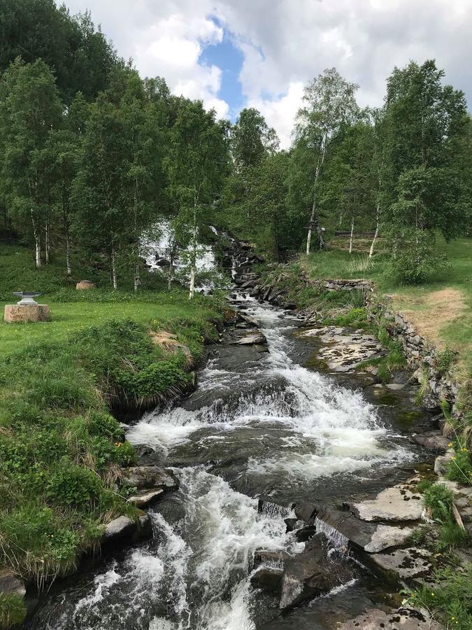 Malmplassen Bed & Breakfast Tolga Экстерьер фото